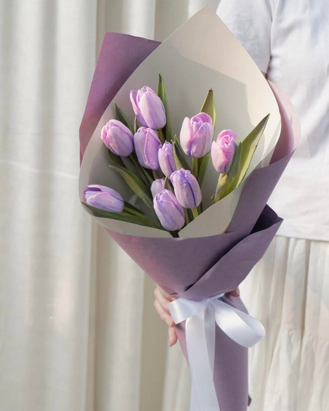 Hoa tulip tươi mẫu 03