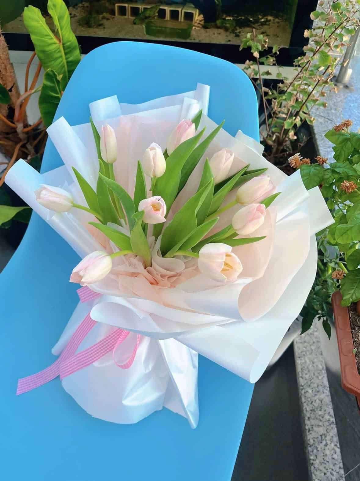 Hoa tulip tươi mẫu 11