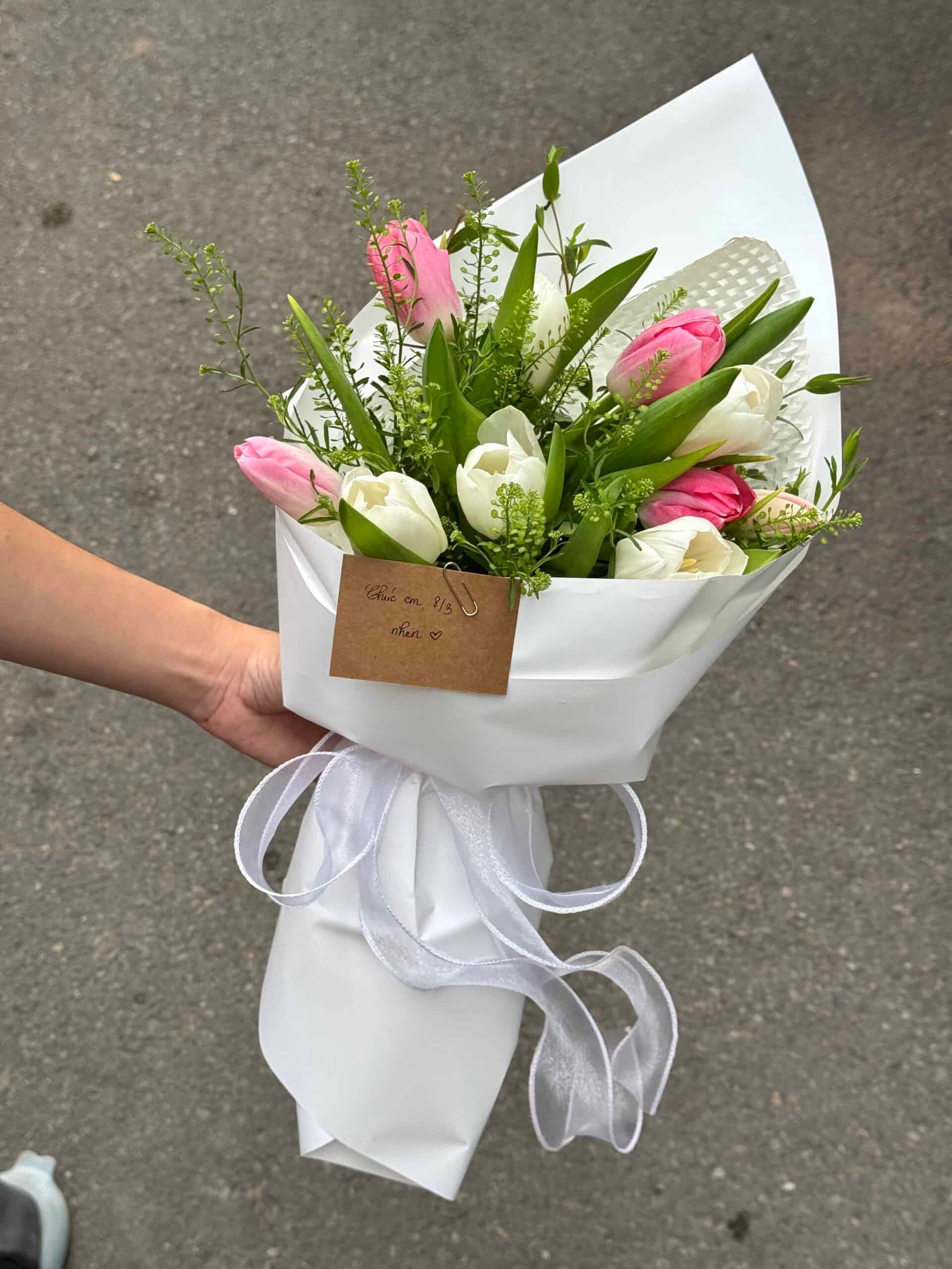 Hoa tulip tươi mẫu 07