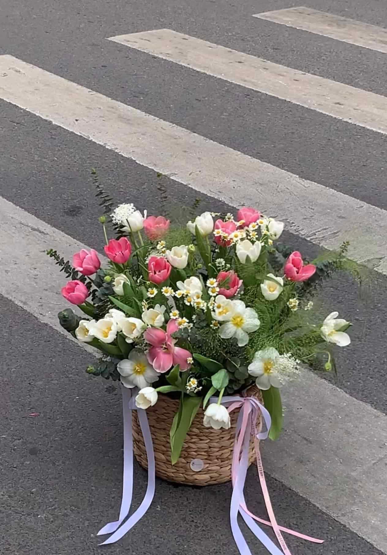 Hoa tulip tươi mẫu 22
