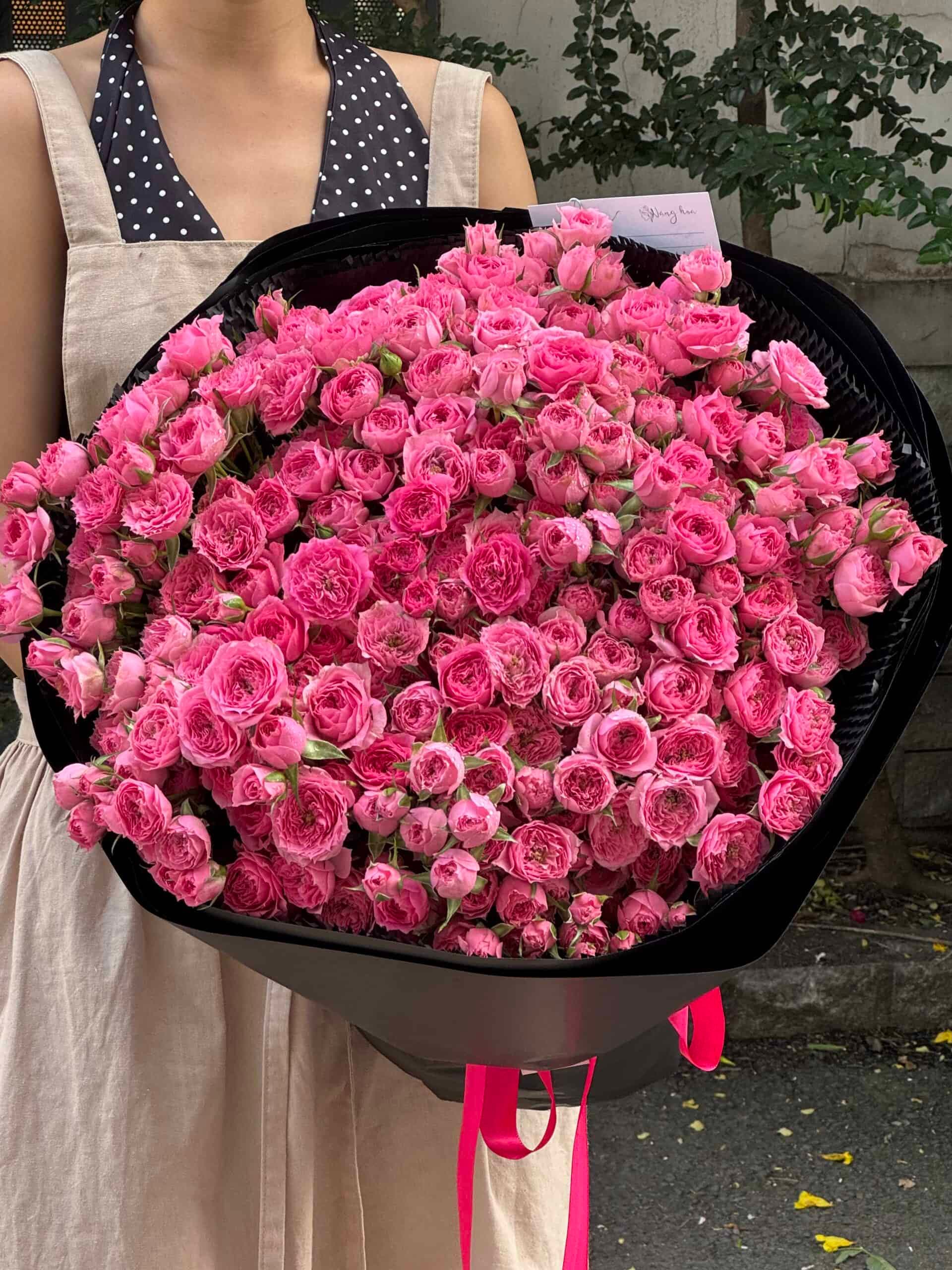 Hoa hồng Sophia mẫu 13